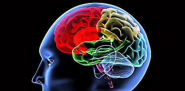 Semana Mundial del Cerebro