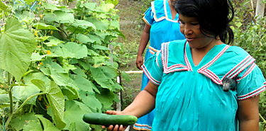Da Internacional de la Mujer Indgena