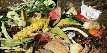 Ms de 30 por ciento de alimentos se desperdician en Latinoamrica