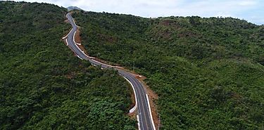 Cmo afectan las carreteras a la vida silvestre