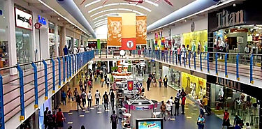 Cuanto ms inteligentes menos sociables