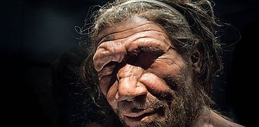Los neandertales eran buzeadores