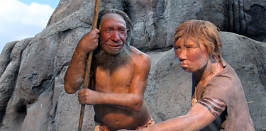 Genes de neandertales aumentan gravedad por Covid19 segn estudio
