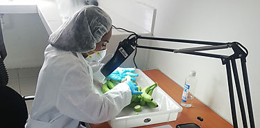 Un nuevo informe refleja la desigualdad de gnero en la ciencia