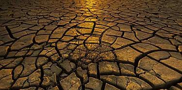 Da de Lucha contra la Desertificacin y la Sequa