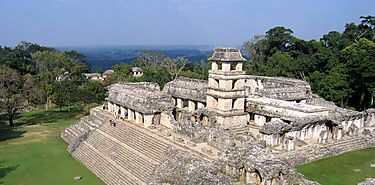 El impacto de los mayas en el medio ambiente fue mayor de lo que se crea
