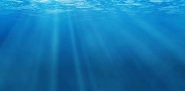 Cientficos alertan sobre una subida del nivel del mar inesperada