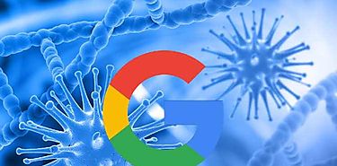 OMS insiste en garantizar informacin veraz sobre el coronavirus