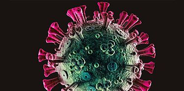 Cunto tiempo permanece el nuevo coronavirus en el organismo humano