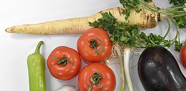 Mejor una amante vegano