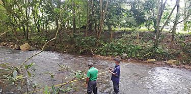 Semana Mundial del Agua