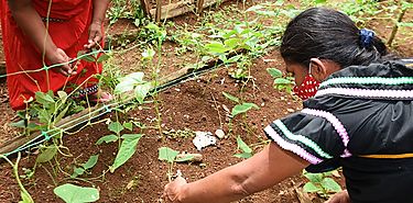 FAO reitera llamado a detener la prdida de biodiversidad