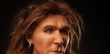 Las mujeres tambin cazaban animales grandes en la prehistoria