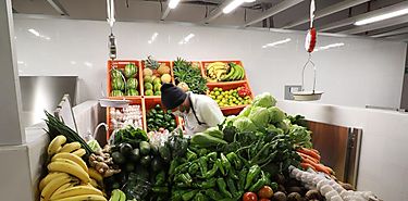 Incrementar consumo de verduras mejora sistema cardiometablico