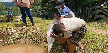 Acuicultura mundial vulnerable ante el cambio ambiental