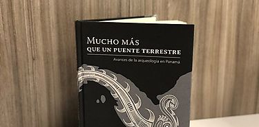 Panam mucho ms que un puente terrestre descarga el libro