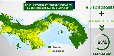 Panam incrementa en un 3 su cobertura boscosa