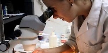 Hormonas sexuales definen diferencias entre hombres y mujeres