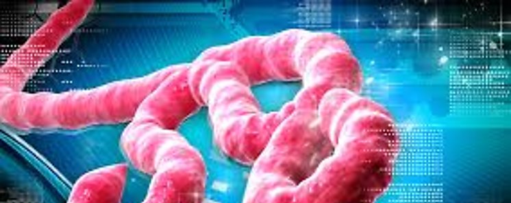 OMS y Alemania lanzan nuevo centro mundial de inteligencia ante pandemias y epidemias