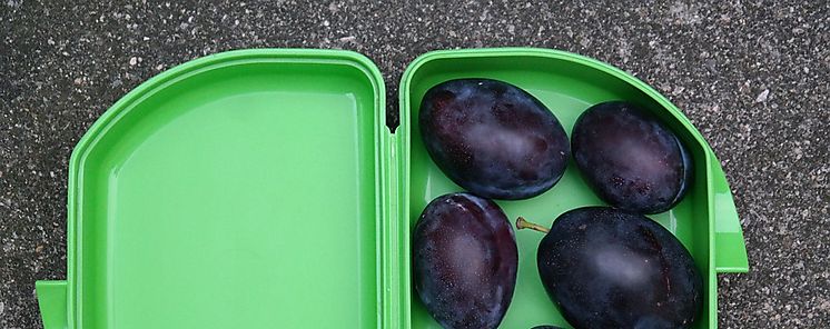 Los alumnos han de comer sano 