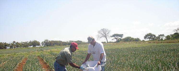 Capacitan a productores pecuarios en Los Santos