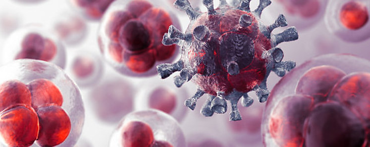 Micromaterial libera nanopartculas que destruyen clulas cancerosas