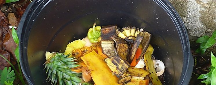 40 por ciento de la comida termina en la basura