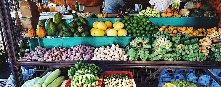  Cocl adquiere productos en la Feria Libre del IMA 