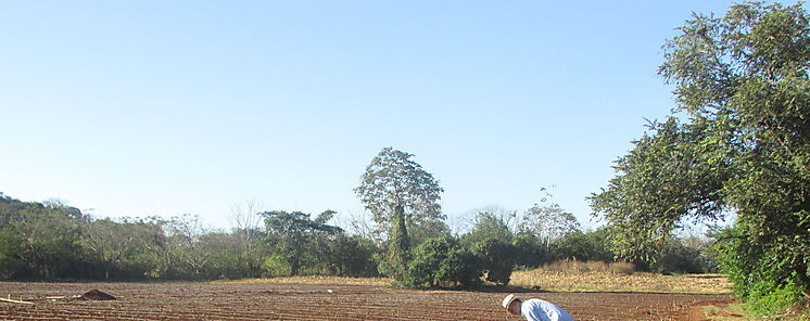 Tcnicos agrcolas en Los Santos se capacitan en riego por goteo