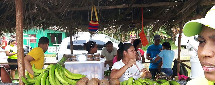 I Feria del Coco en Ro Indio de Coln