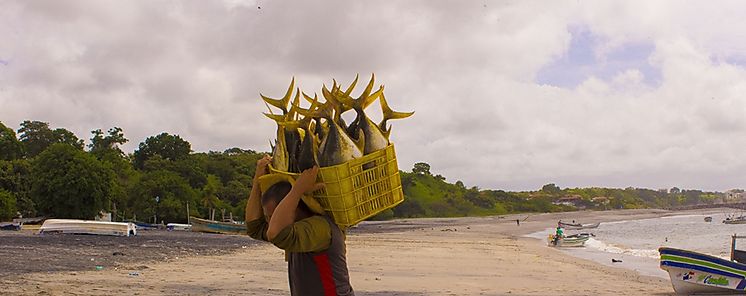 Ms de B 121 millones de dlares en prstamos para la pesca artesanal en Cocl 