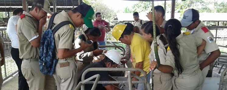 Estudiantes de  IPT Pablo A Pinzn de Veraguas visitan la FCA