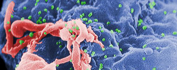 Cientficos crean un frmaco ultraeficiente para controlar el VIH