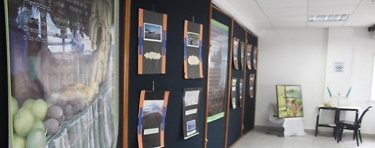 Exhibicin de arte y pintura en Bocas del Toro