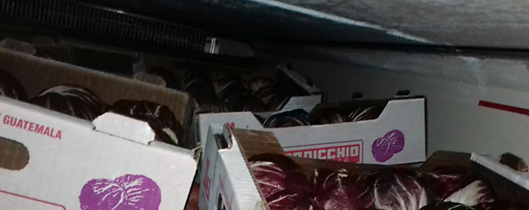 Interceptan contenedores con alimentos
