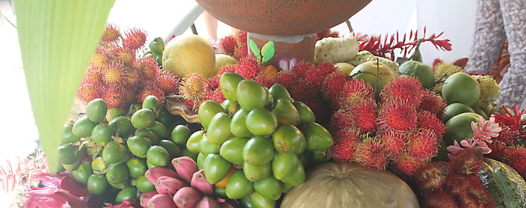 Minsa y Mida analizan riesgo de frutas y alimentos en Cocl