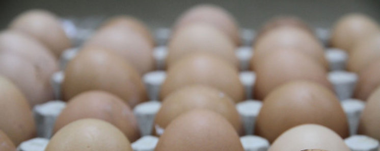 Los mdicos revelan los 7 mejores alimentos para ponerse en forma