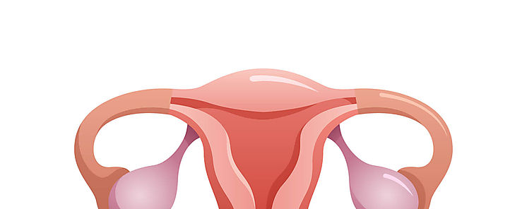 kits para test casero para prevenir cncer de cuello uterino