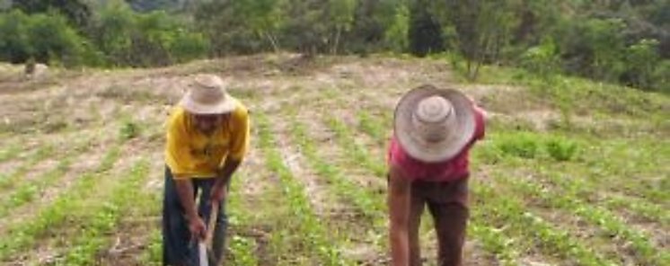 Productores de poroto se reunieron en Santa Fe y Chitra en Veraguas
