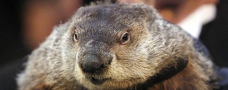 La marmota no sabe cundo acaba el invierno