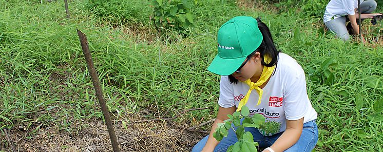 Voluntarios del Sistema CocaCola reforestan 15 hectreas en Coln 
