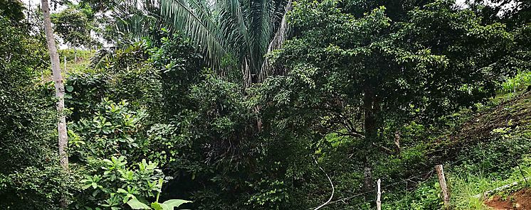 Proyecto para la produccin de peces se inaugura en la Comunidad de Quebrada del Rosario Las Minas de Herrera