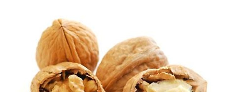 Por qu el consumo de nueces se asocia a una mayor longevidad