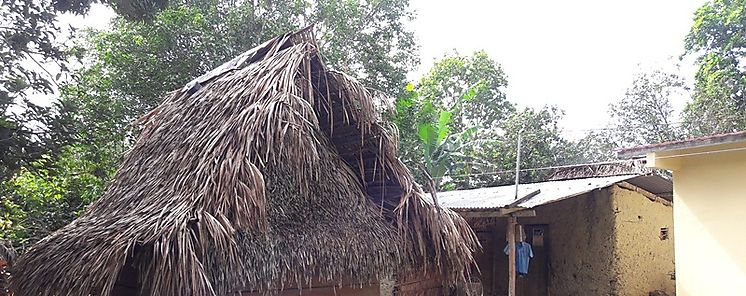 Familias de Llano Norte en Cocl dejan atrs sus viviendas improvisadas
