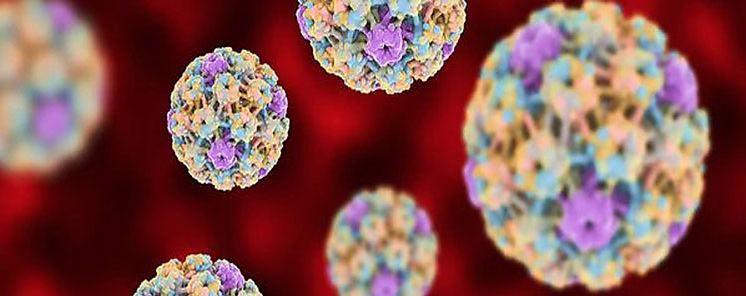 Pronostican eliminar cncer cervicouterino en Australia para 2035