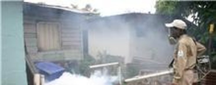Aumentan los casos de dengue en la provincia de Chiriqu