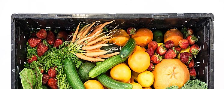 Dieta rica en fibra podra mejorar respuesta a cncer de piel