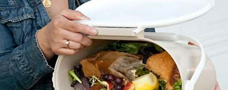 ONU advierte de desastroso impacto por prdidas de alimentos