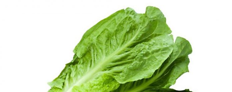 Los 8 superalimentos que debes comer cada da