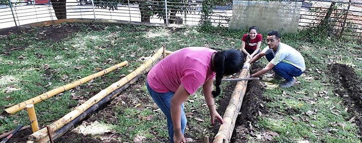Culminacin de Servicio Social de los estudiantes de ISAE de la Licenciatura en Mercadotecnia LM9 